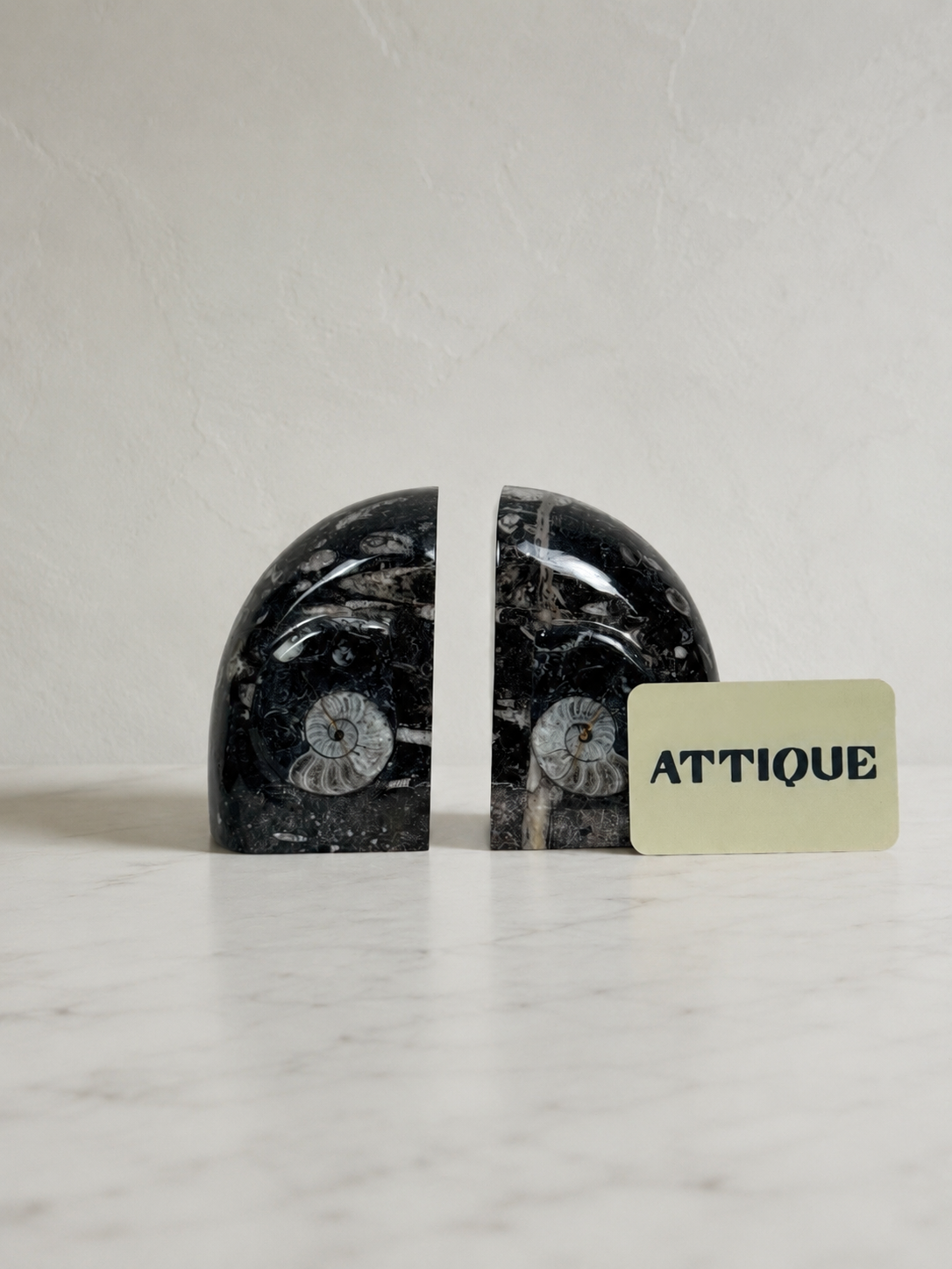 Orthoceras Fossil Stone Bookends