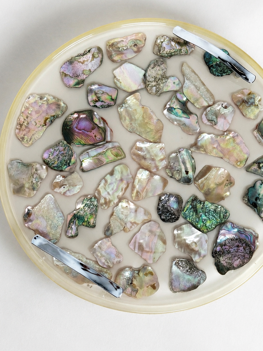 Lucite and Abalone Shell Tray