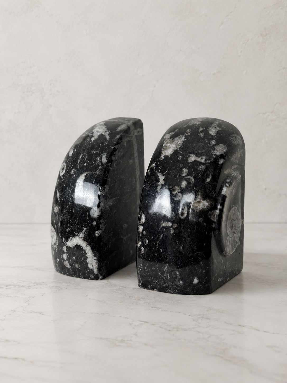 Orthoceras Fossil Stone Bookends