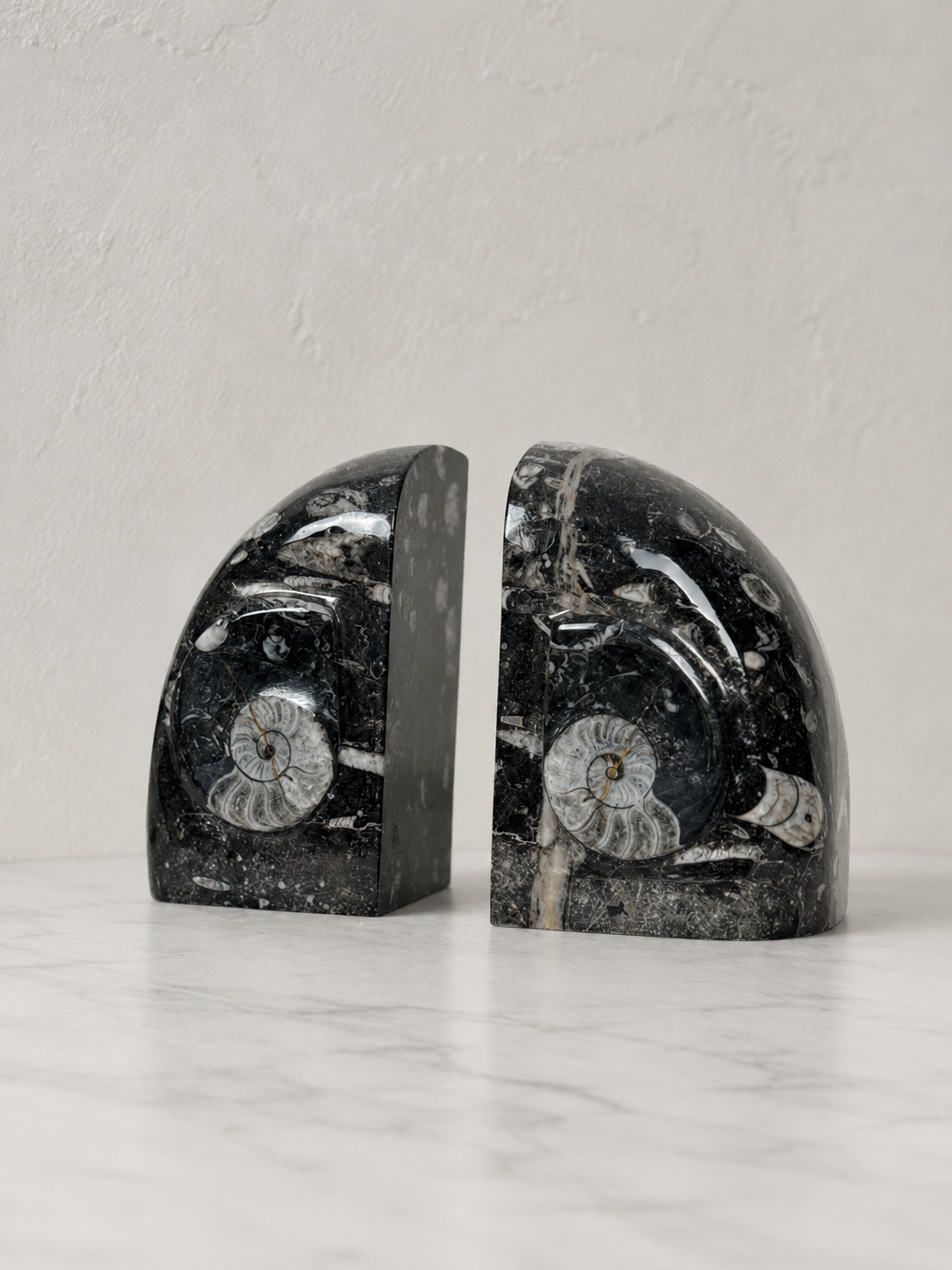 Orthoceras Fossil Stone Bookends